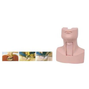 Traceostomi Tube Manikin