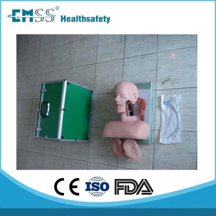 photobank (121)_副本